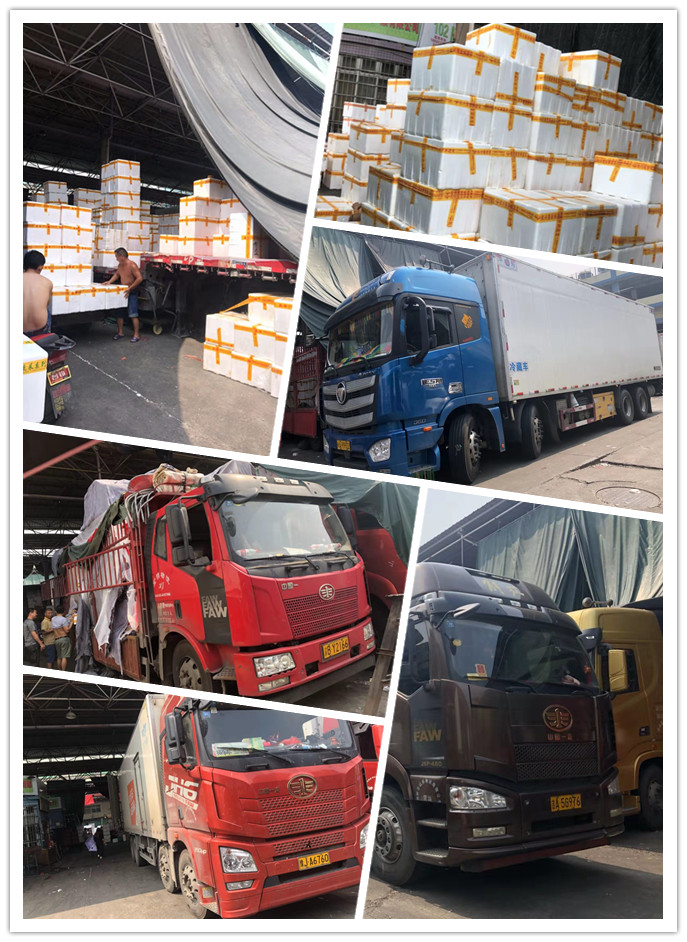 888集团电子游戏(中国游)有限公司官网