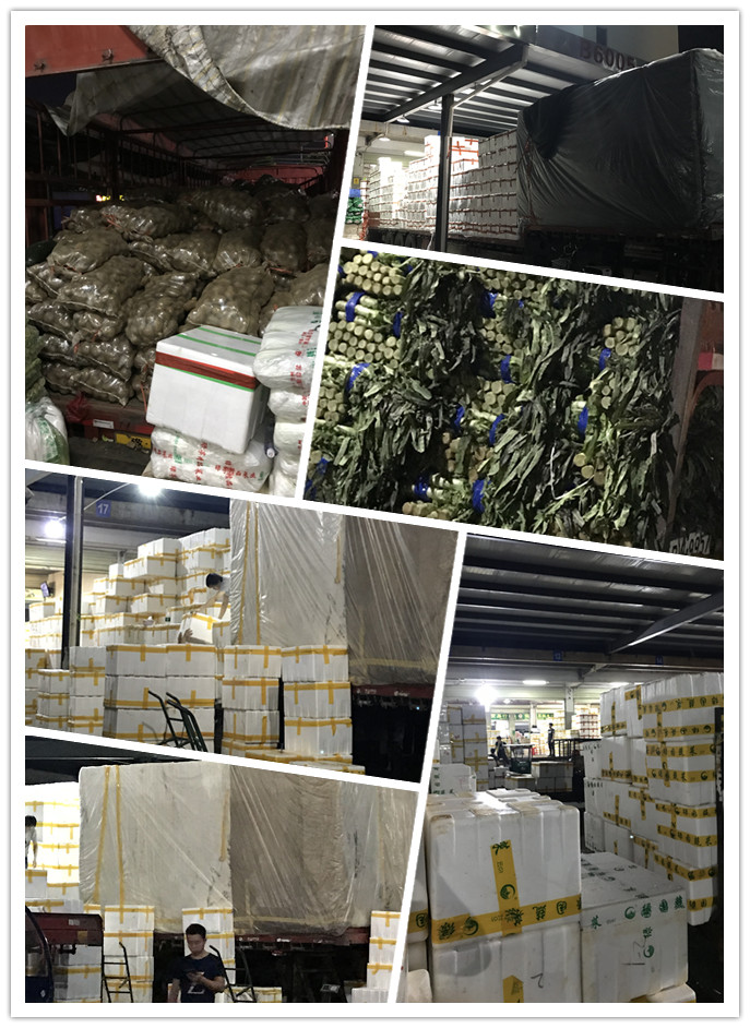 888集团电子游戏(中国游)有限公司官网