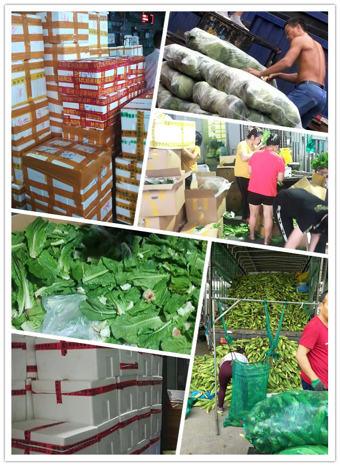 888集团电子游戏(中国游)有限公司官网