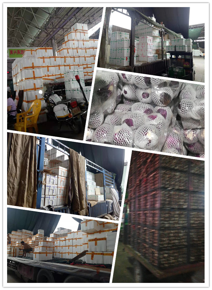 888集团电子游戏(中国游)有限公司官网