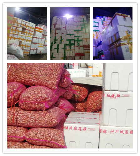 888集团电子游戏(中国游)有限公司官网