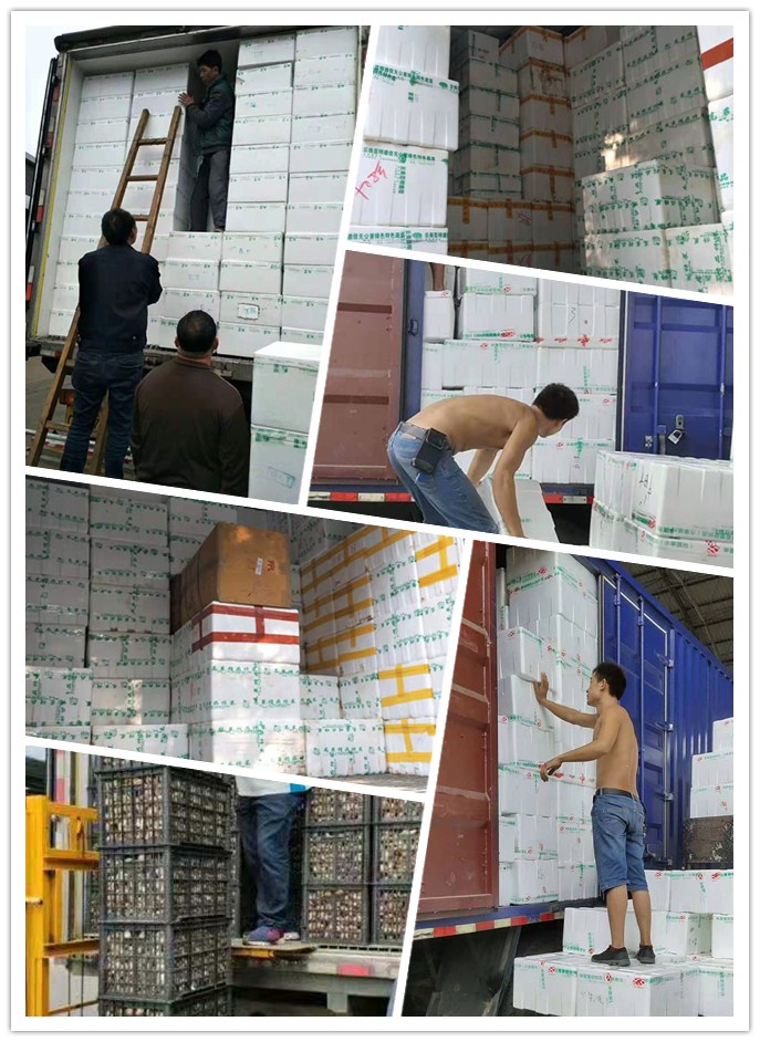 888集团电子游戏(中国游)有限公司官网