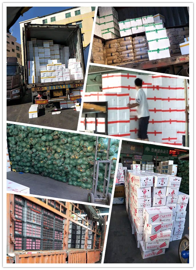 888集团电子游戏(中国游)有限公司官网