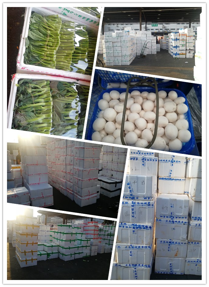 888集团电子游戏(中国游)有限公司官网