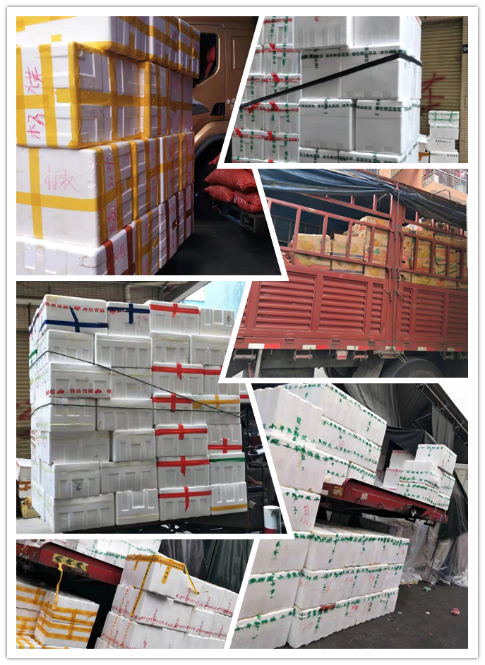 888集团电子游戏(中国游)有限公司官网