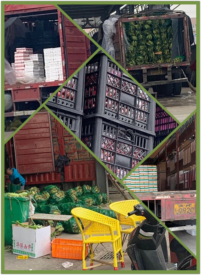 888集团电子游戏(中国游)有限公司官网