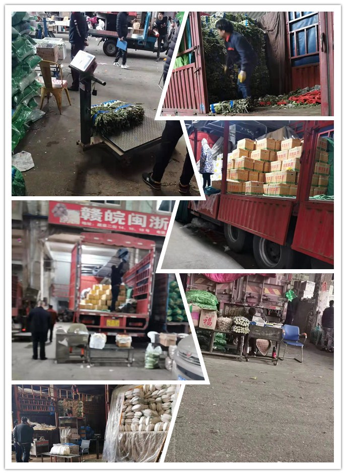 888集团电子游戏(中国游)有限公司官网