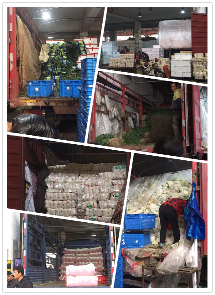 888集团电子游戏(中国游)有限公司官网