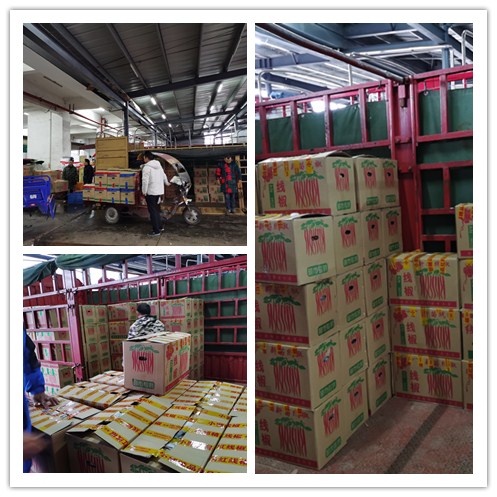 888集团电子游戏(中国游)有限公司官网