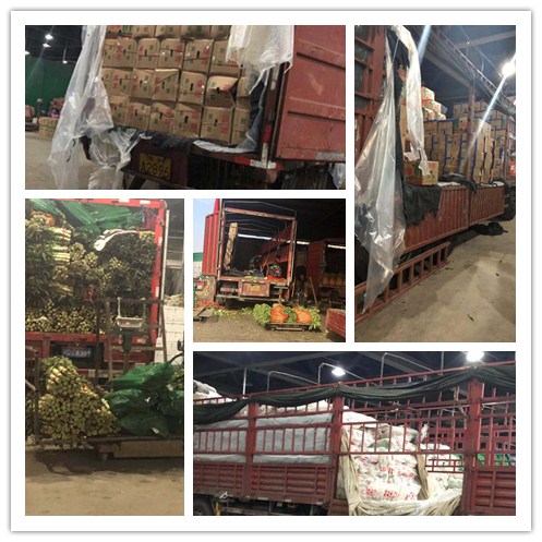 888集团电子游戏(中国游)有限公司官网