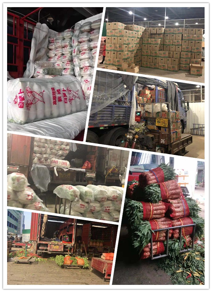 888集团电子游戏(中国游)有限公司官网