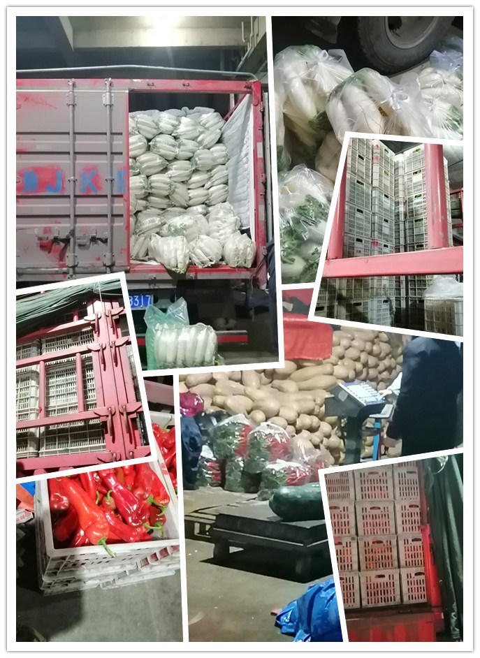 888集团电子游戏(中国游)有限公司官网