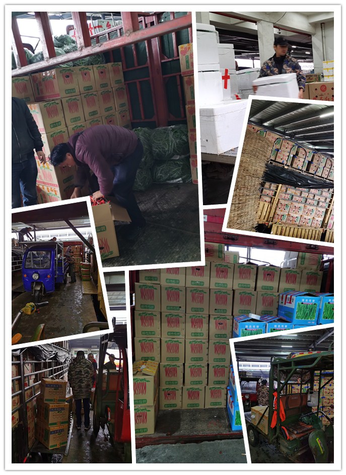 888集团电子游戏(中国游)有限公司官网