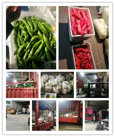 888集团电子游戏(中国游)有限公司官网