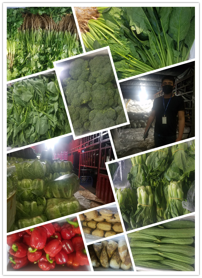 888集团电子游戏(中国游)有限公司官网