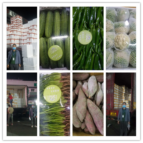 888集团电子游戏(中国游)有限公司官网