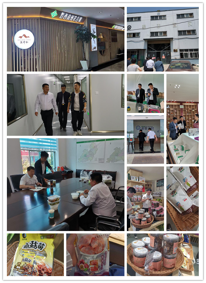 888集团电子游戏(中国游)有限公司官网