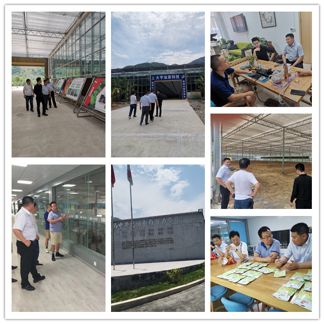 888集团电子游戏(中国游)有限公司官网