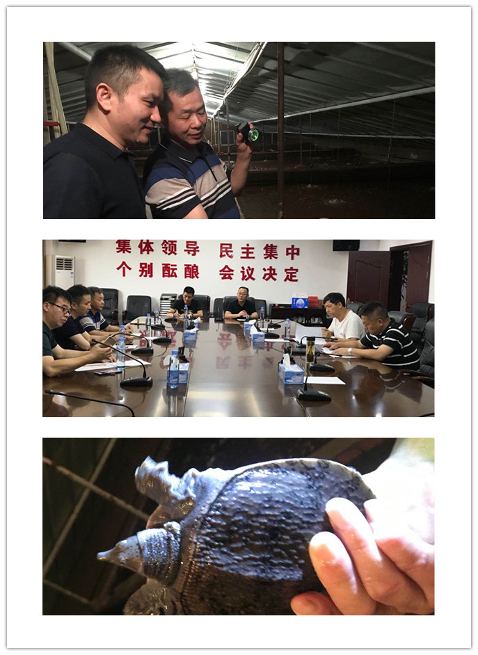 888集团电子游戏(中国游)有限公司官网