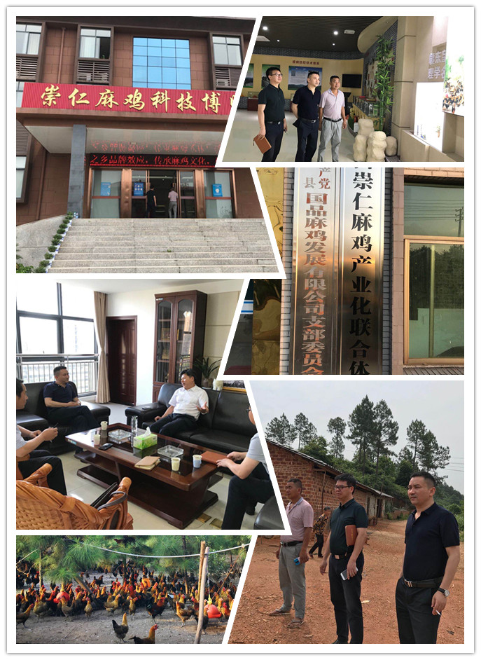 888集团电子游戏(中国游)有限公司官网