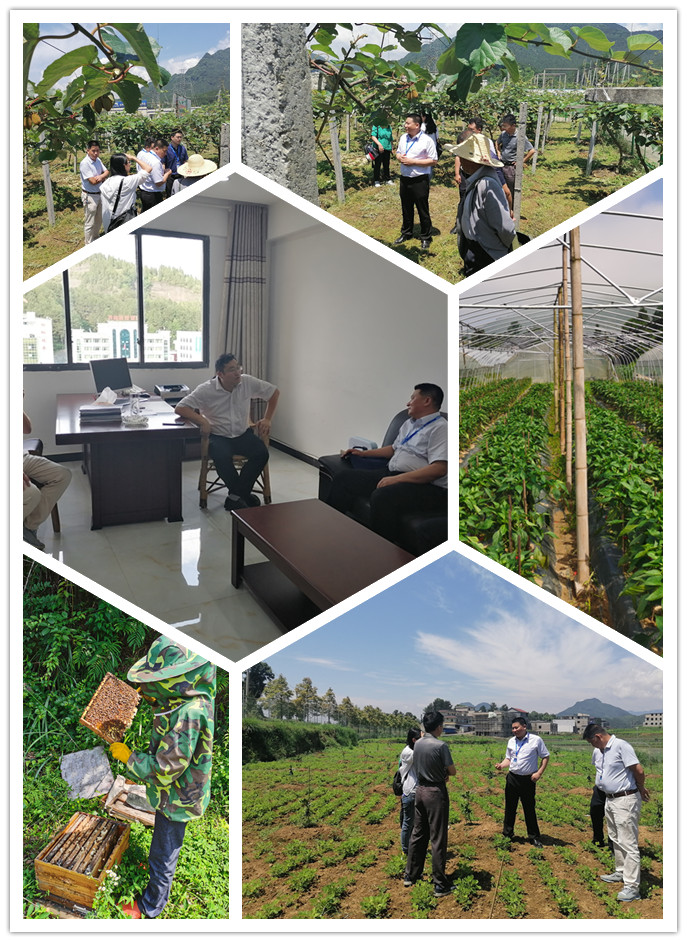 888集团电子游戏(中国游)有限公司官网