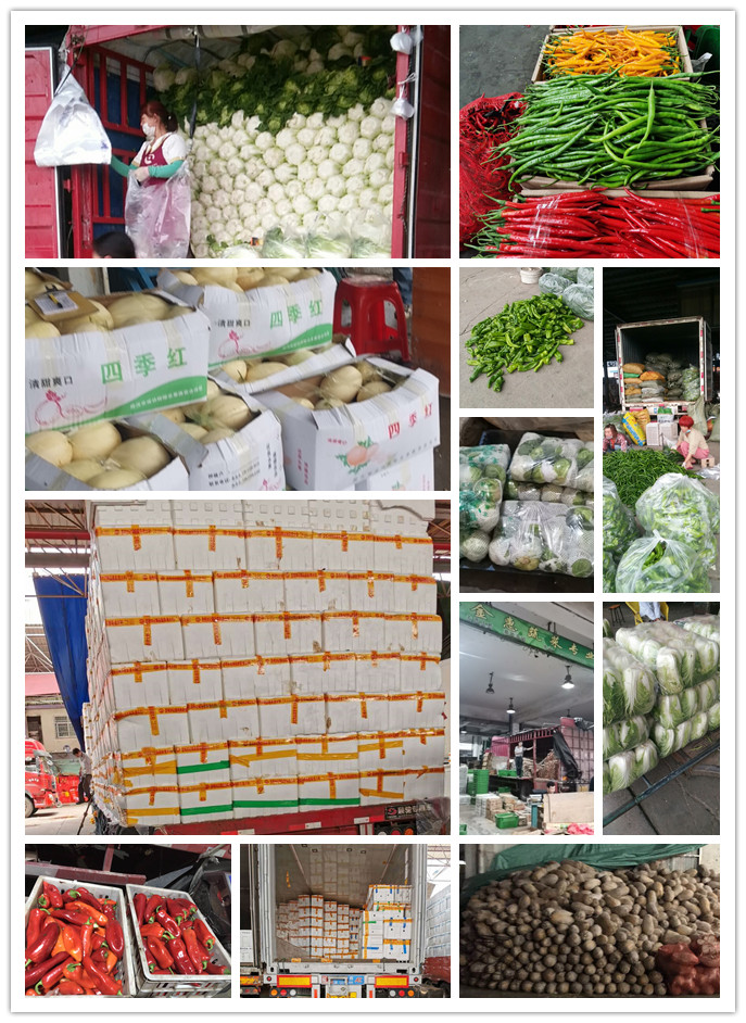 888集团电子游戏(中国游)有限公司官网