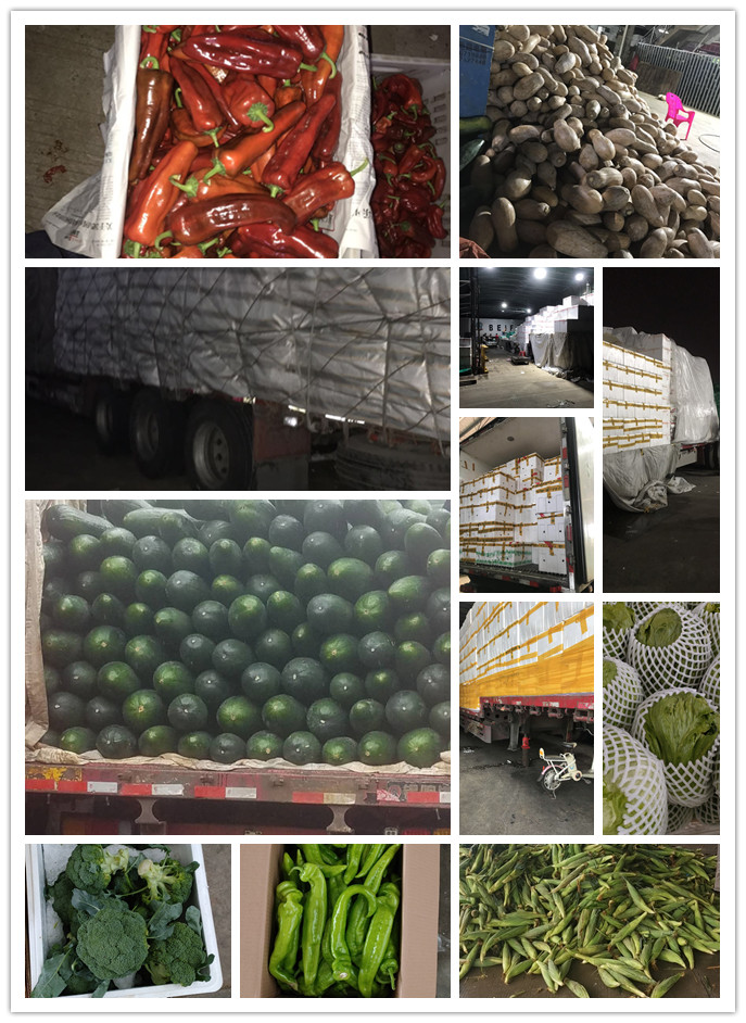 888集团电子游戏(中国游)有限公司官网