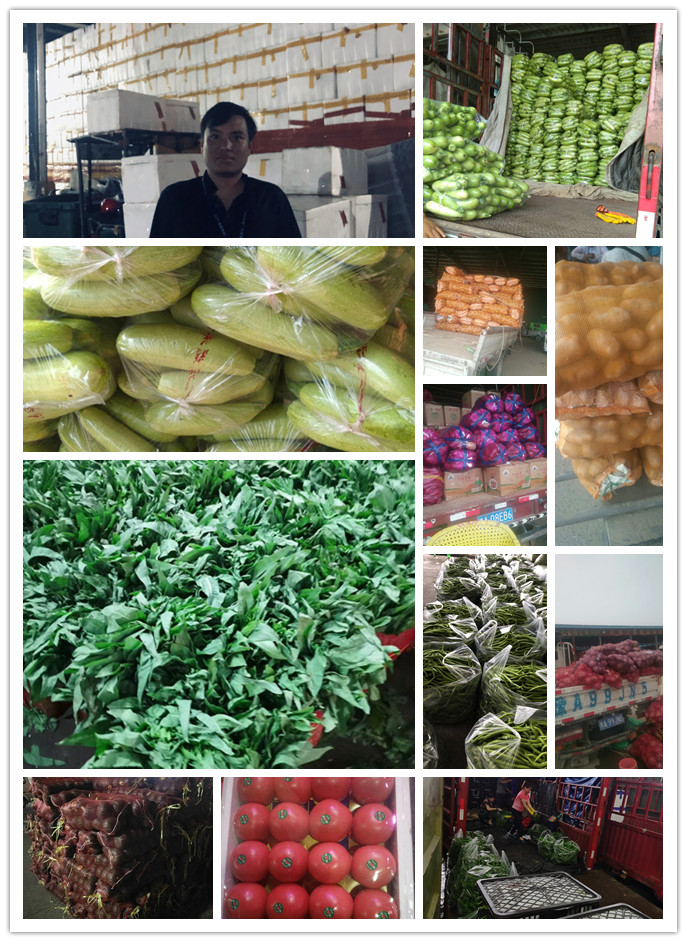 888集团电子游戏(中国游)有限公司官网