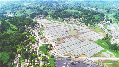 888集团电子游戏(中国游)有限公司官网