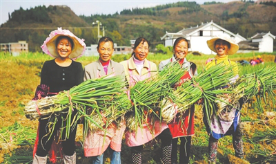 888集团电子游戏(中国游)有限公司官网