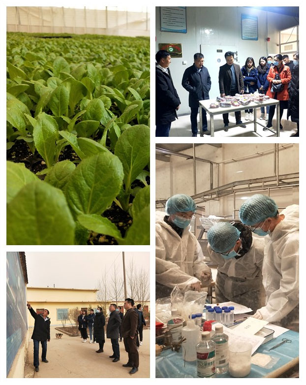 888集团电子游戏(中国游)有限公司官网