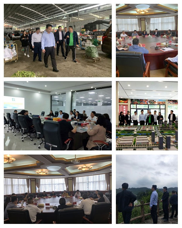 888集团电子游戏(中国游)有限公司官网