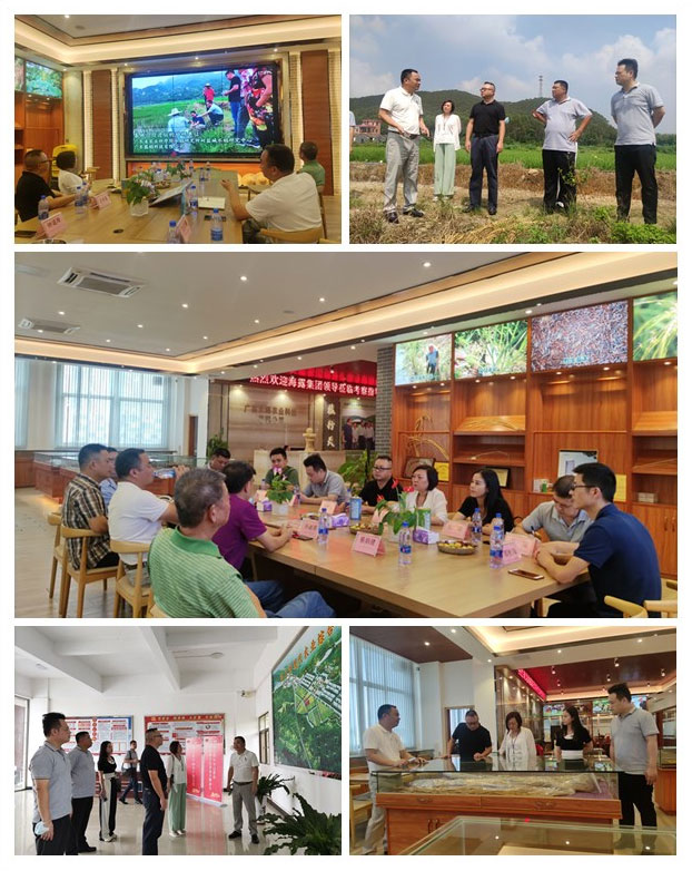 888集团电子游戏(中国游)有限公司官网