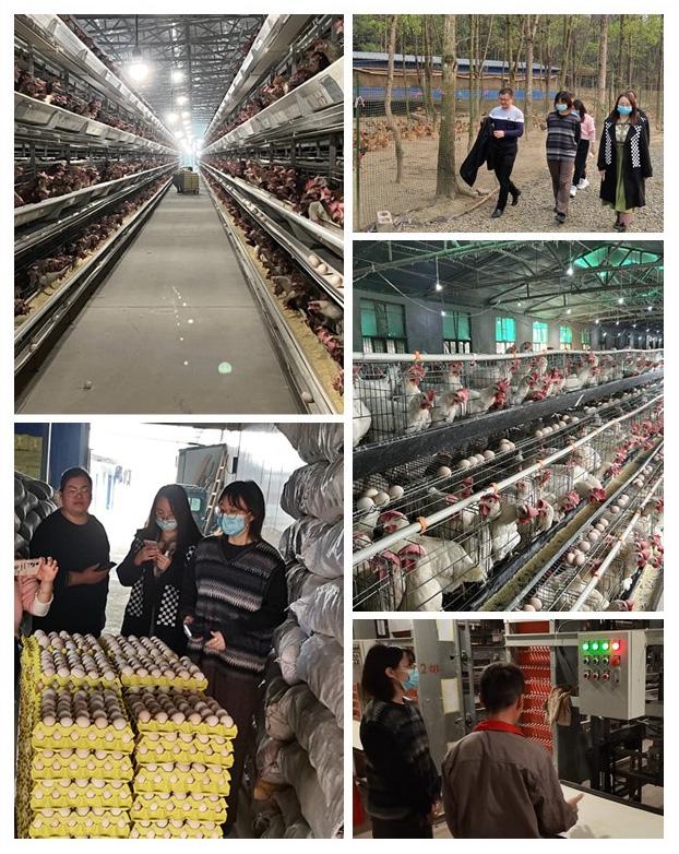 888集团电子游戏(中国游)有限公司官网