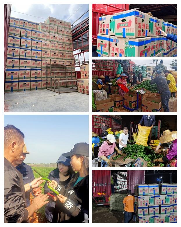 888集团电子游戏(中国游)有限公司官网