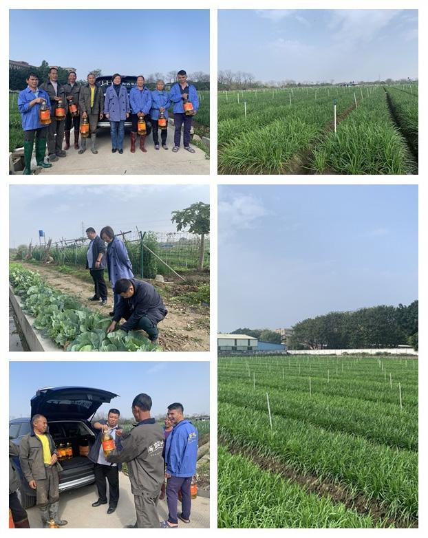 888集团电子游戏(中国游)有限公司官网