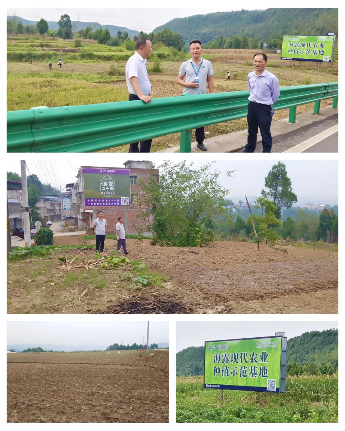 888集团电子游戏(中国游)有限公司官网