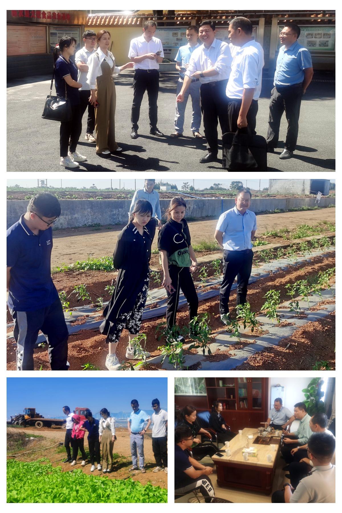 888集团电子游戏(中国游)有限公司官网