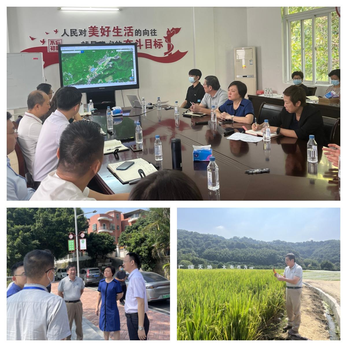 888集团电子游戏(中国游)有限公司官网