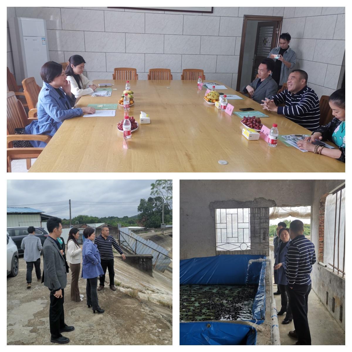 888集团电子游戏(中国游)有限公司官网