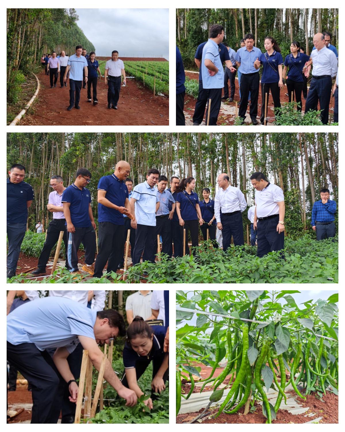 888集团电子游戏(中国游)有限公司官网