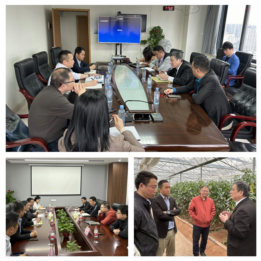 888集团电子游戏(中国游)有限公司官网