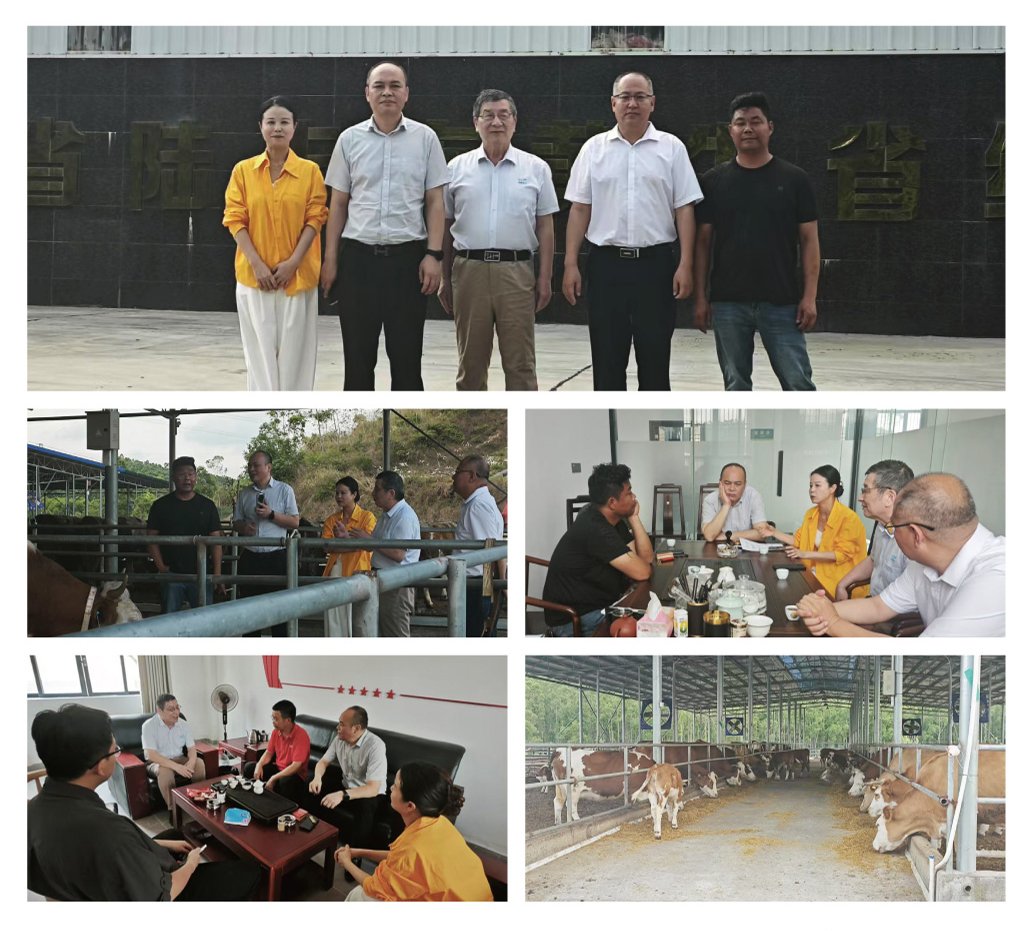 888集团电子游戏(中国游)有限公司官网