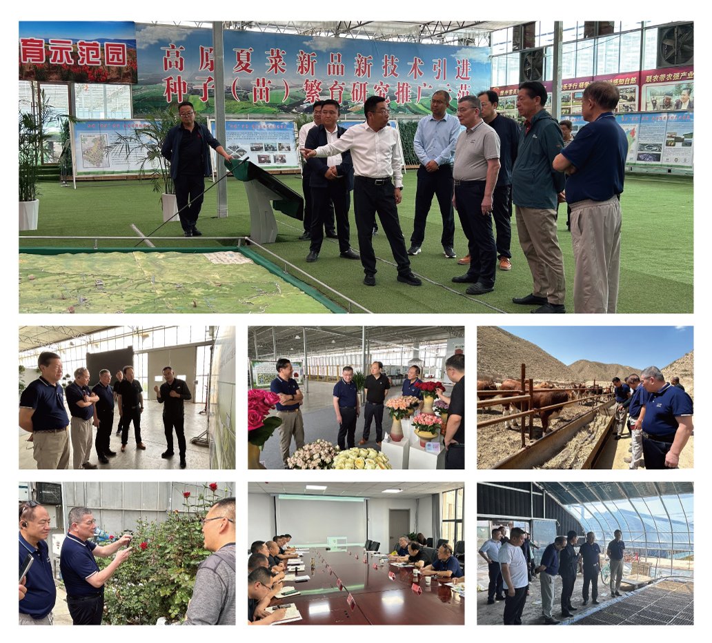 888集团电子游戏(中国游)有限公司官网