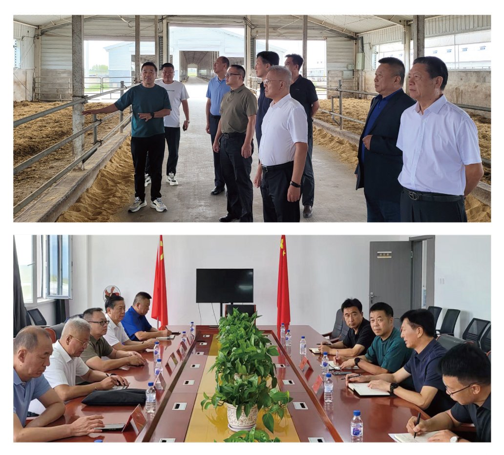 888集团电子游戏(中国游)有限公司官网