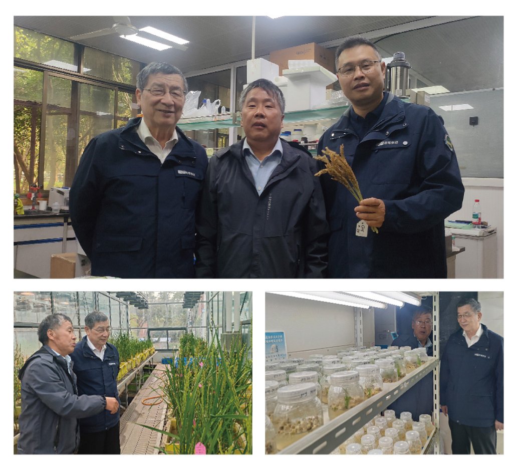 888集团电子游戏(中国游)有限公司官网